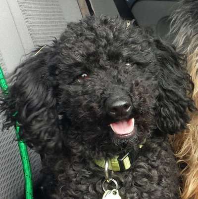 Fotochallenge Nr.122-Beitrag-Bild