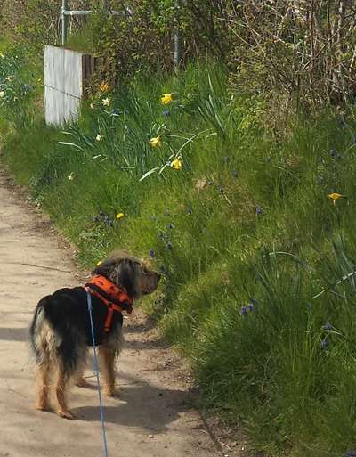 Fotochallenge Nr. 126-Beitrag-Bild