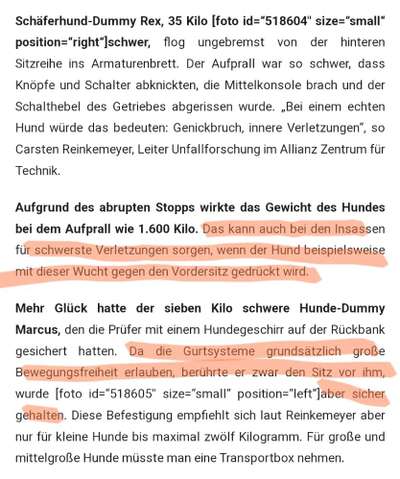 Sicherung im Auto (Rückbank)-Beitrag-Bild