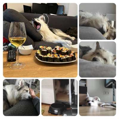 42. Collage Challenge - Ruheplatz-Beitrag-Bild