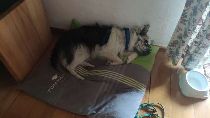 Zugfahrt - Welche Tasche oder Box-Beitrag-Bild