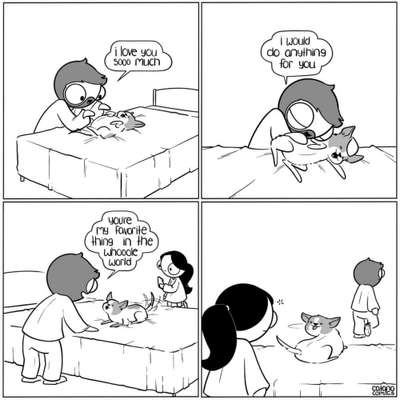 Hunde Memes-Beitrag-Bild