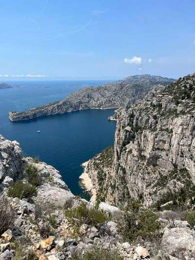 TierschutzhundeStammtisch🐕-Beitrag-Bild