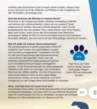 Wird zu selten entwurmt? Wurmbefall bei Hunden in Deutschland-Beitrag-Bild