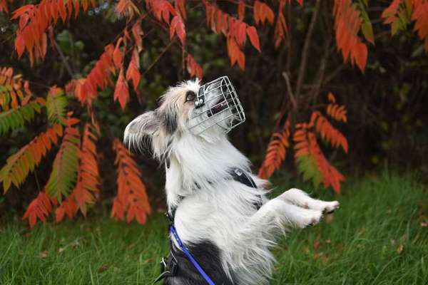 11. Farben Foto Challenge Rot-Beitrag-Bild