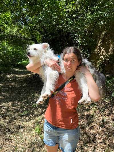 TierschutzhundeStammtisch🐕-Beitrag-Bild