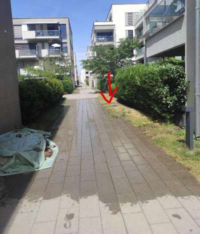 TierschutzhundeStammtisch🐕-Beitrag-Bild