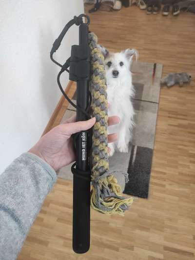 TierschutzhundeStammtisch🐕-Beitrag-Bild