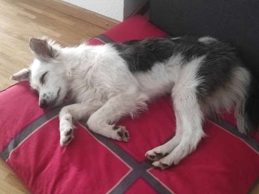 28. Handy-Fotochallenge - Damals und heute-Beitrag-Bild