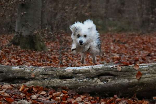 Photoshop und Co.-Beitrag-Bild