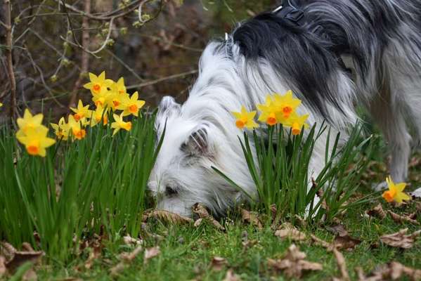 Fotochallenge Nr. 126-Beitrag-Bild