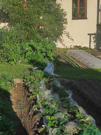 TierschutzhundeStammtisch🐕-Beitrag-Bild