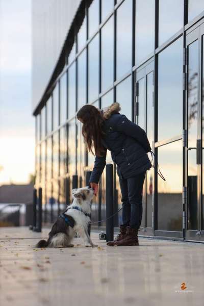 TierschutzhundeStammtisch🐕-Beitrag-Bild