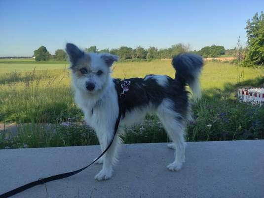 Der Gewichts-Thread-Beitrag-Bild