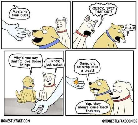 TierschutzhundeStammtisch🐕-Beitrag-Bild