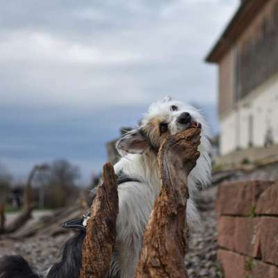Austausch zur Fotografie-Beitrag-Bild