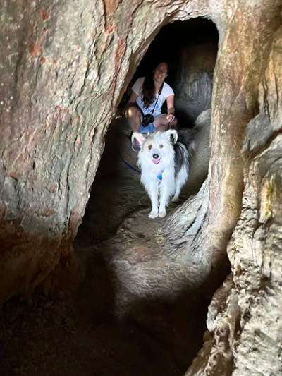 TierschutzhundeStammtisch🐕-Beitrag-Bild