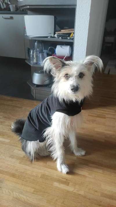 Upcycling - aus Alt mach Neu-Beitrag-Bild