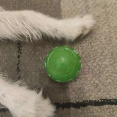 Gangbild/-analyse-Beitrag-Bild