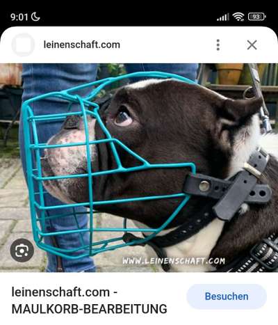 TierschutzhundeStammtisch🐕-Beitrag-Bild