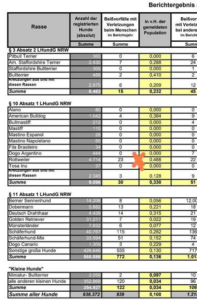 Amstaff Vorurteile - Halter machen Hunde?-Beitrag-Bild