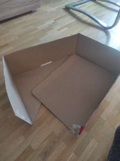 Trick-Challenge Nr.26 Quetschen-Beitrag-Bild