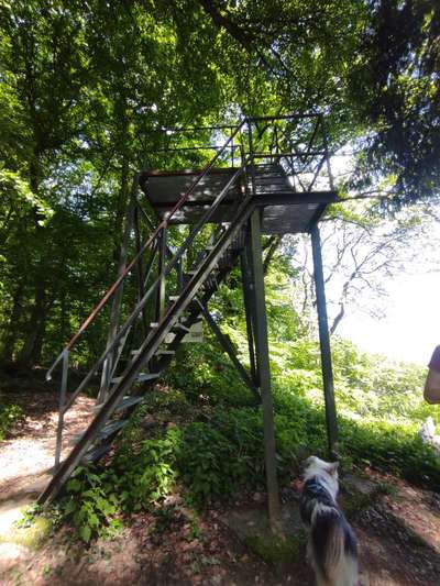 TierschutzhundeStammtisch🐕-Beitrag-Bild