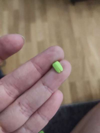 Zecken richtig entfernen-Beitrag-Bild