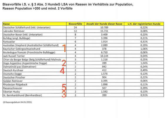Ohne Halsband, ohne Geschirr-Beitrag-Bild