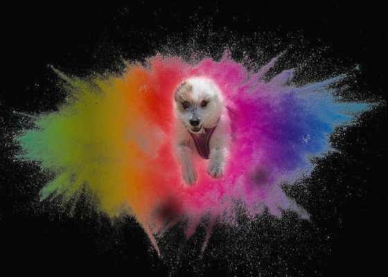 Photoshop und Co.-Beitrag-Bild