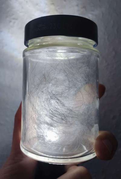 TierschutzhundeStammtisch🐕-Beitrag-Bild