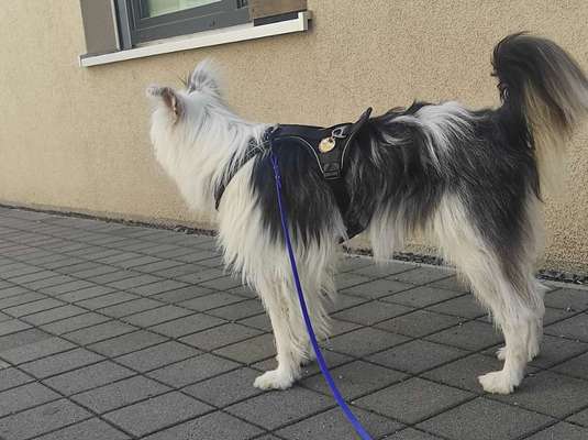 Der Gewichts-Thread-Beitrag-Bild