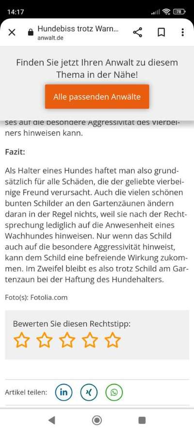 TierschutzhundeStammtisch🐕-Beitrag-Bild