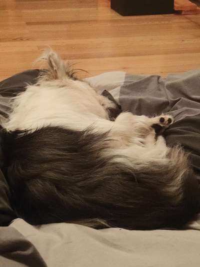 Was hat euch heute gefreut?-Beitrag-Bild