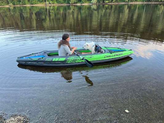 TierschutzhundeStammtisch🐕-Beitrag-Bild