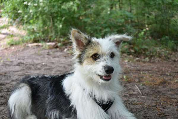 Doppelgänger gesucht !-Beitrag-Bild