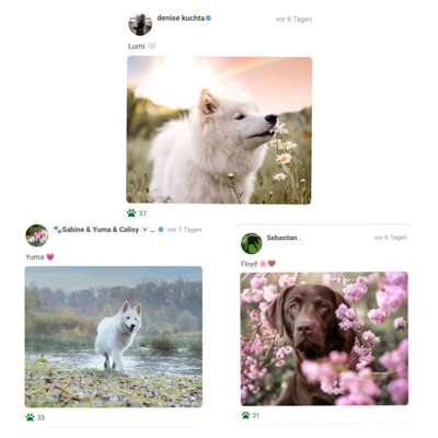 17. Farben Foto Challenge: Pastellfarben-Beitrag-Bild