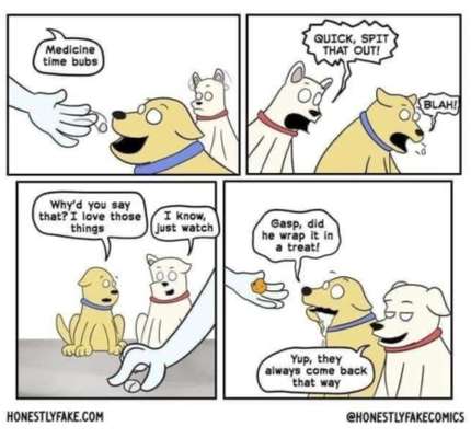 TierschutzhundeStammtisch🐕-Beitrag-Bild