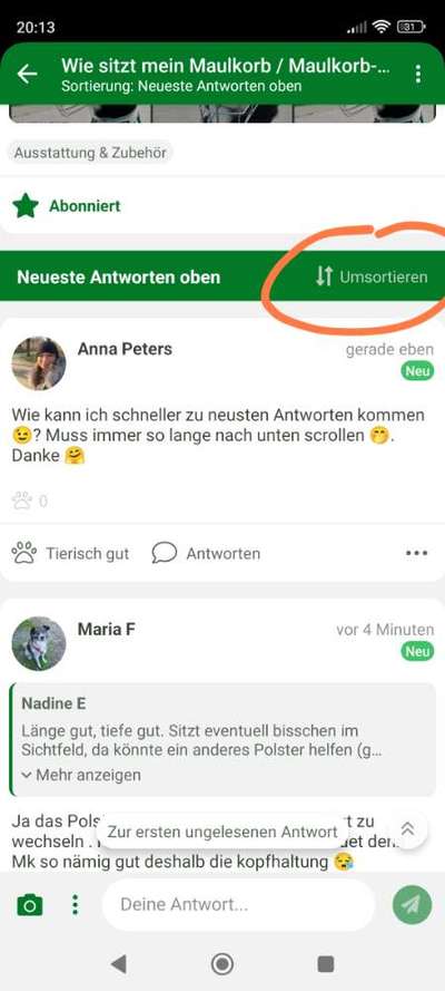 Wie sitzt mein Maulkorb / Maulkorb-Beratung-Beitrag-Bild