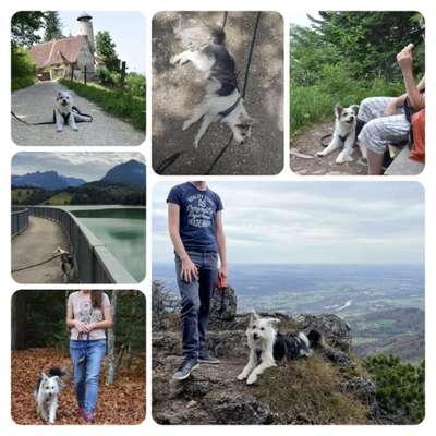 29. Collagen Challenge - Wandern mit Hund-Beitrag-Bild