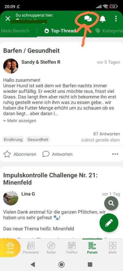 Mein hund steht immer unter Stress-Beitrag-Bild