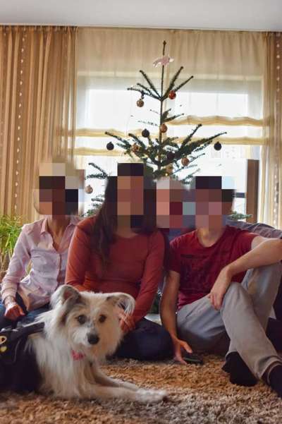 TierschutzhundeStammtisch🐕-Beitrag-Bild