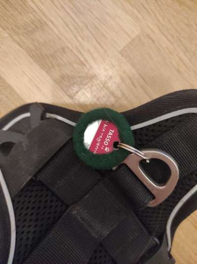 Upcycling - aus Alt mach Neu-Beitrag-Bild