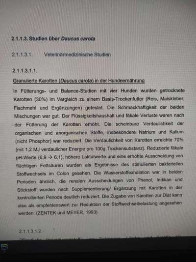 Joghurt etc. und Honig-Beitrag-Bild