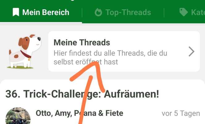 36. Trick-Challenge: Aufräumen!-Beitrag-Bild