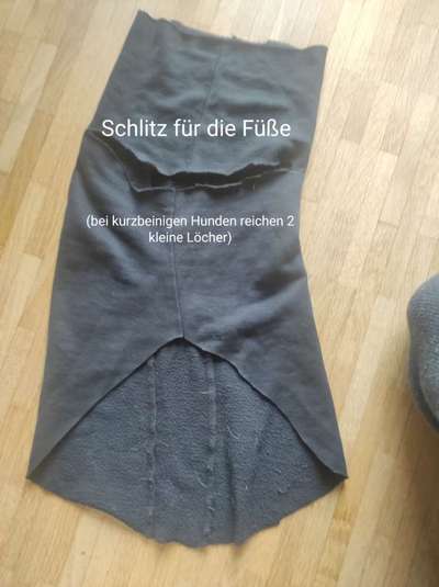 TierschutzhundeStammtisch🐕-Beitrag-Bild