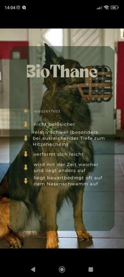 Wie sitzt mein Maulkorb / Maulkorb-Beratung-Beitrag-Bild