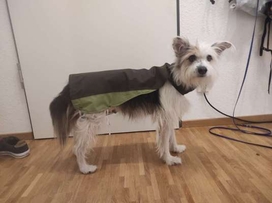 Was hat euch heute gefreut?-Beitrag-Bild