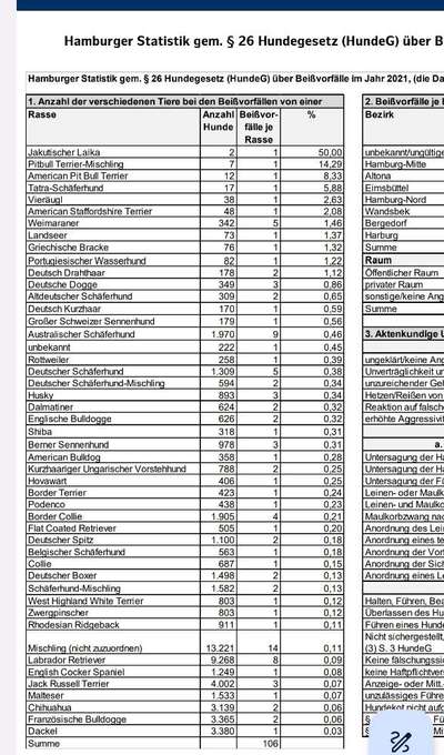 Amstaff Vorurteile - Halter machen Hunde?-Beitrag-Bild