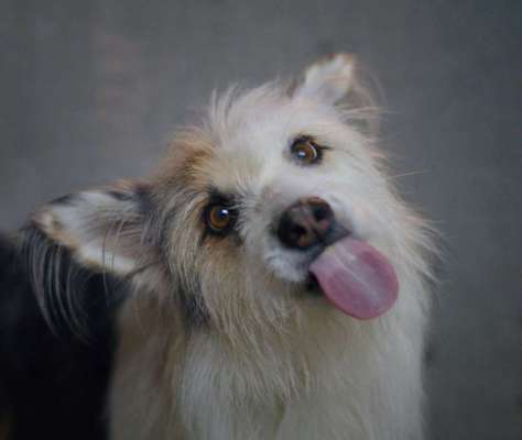 Was hat euch heute genervt?-Beitrag-Bild